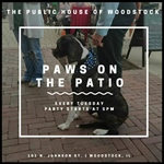 Paws on the Patio