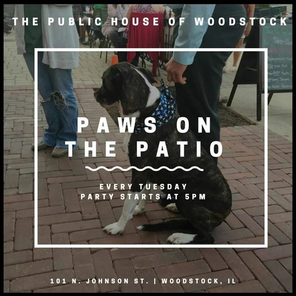 Paws on the Patio