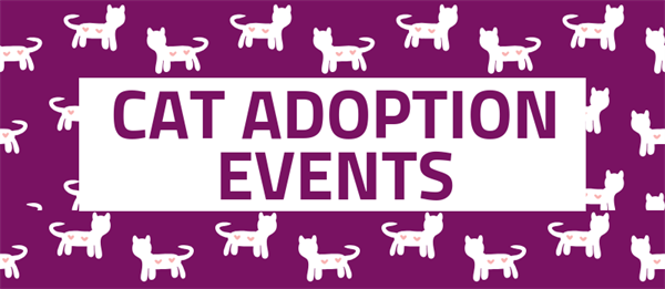 Sunday Petsmart McHenry Adoptions