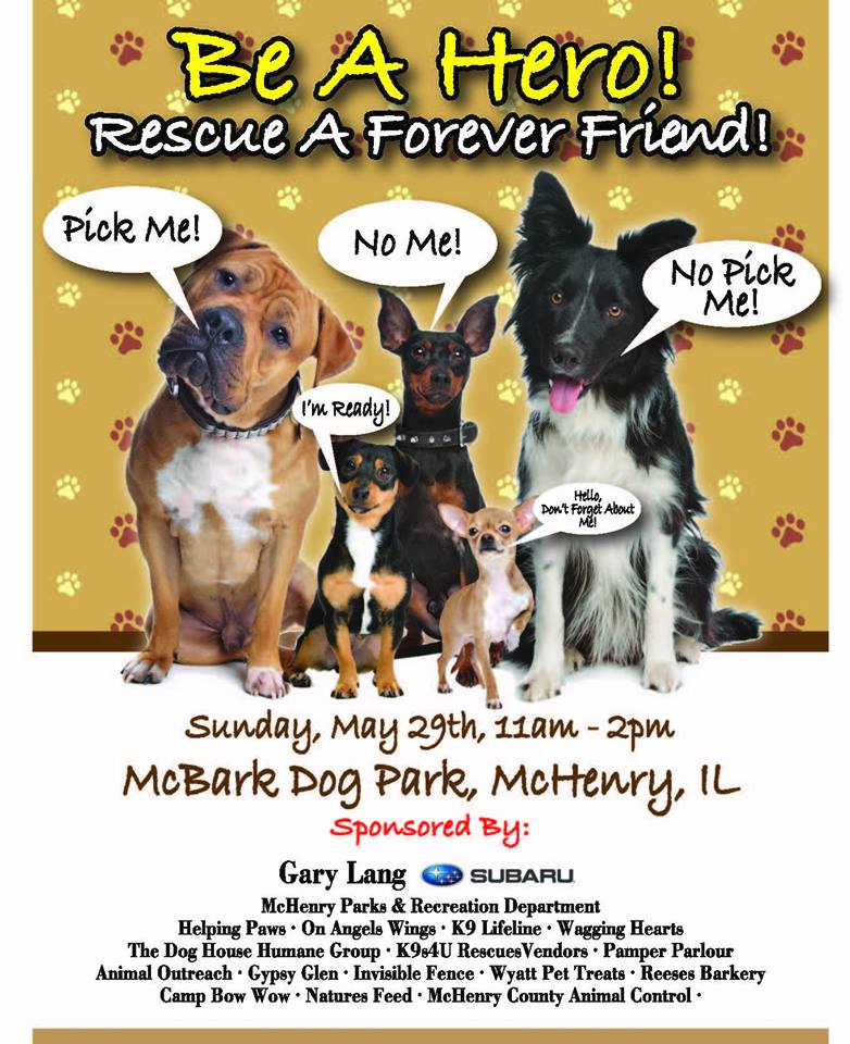 animal outreach near me