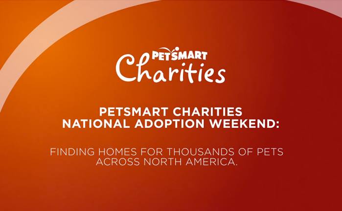 Petsmart National Adoption Weekend